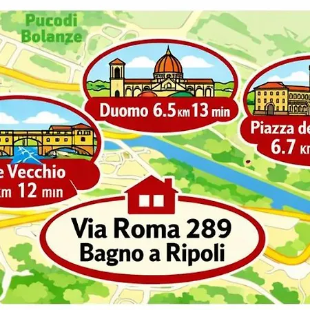 Iris Viola * Bagno A Ripoli